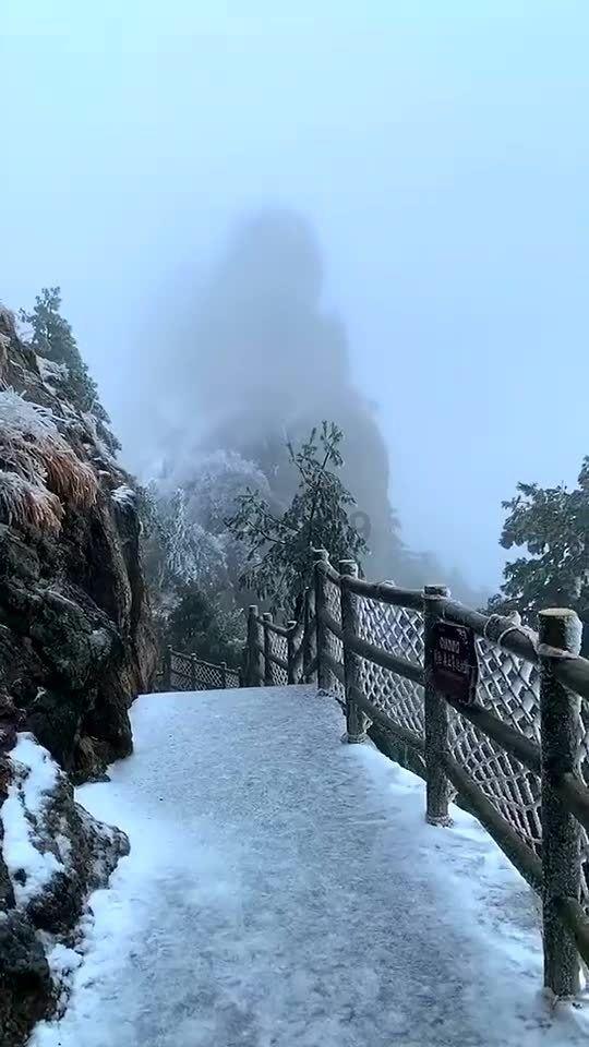 集装箱货运船