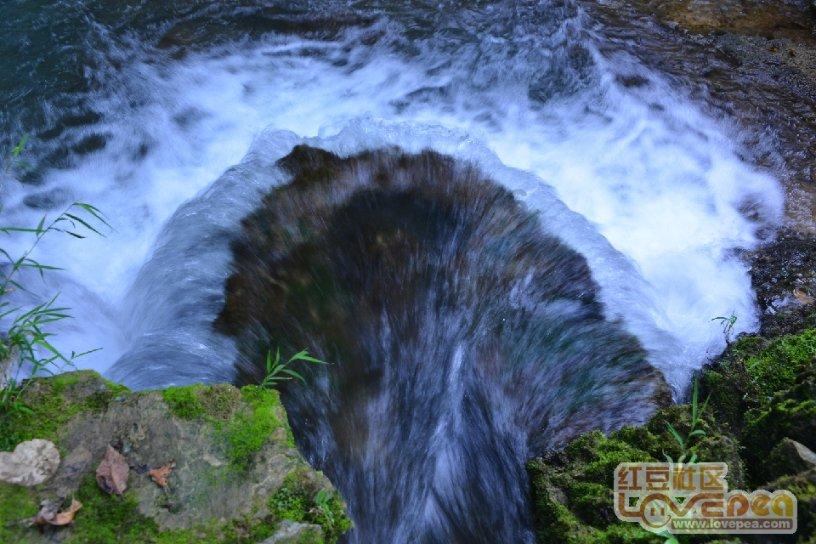 植物大战僵尸8