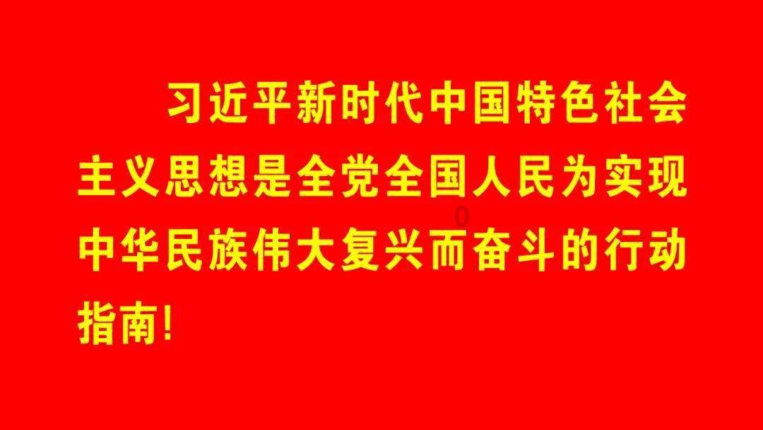 史小坑的爆笑生活11