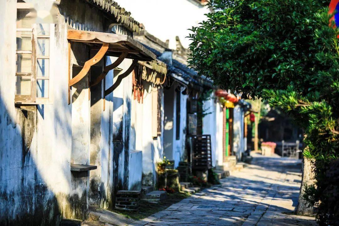 狂野的飙客无敌版